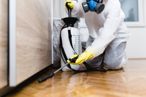 Best Local Pest Control Services  in Camden, SC