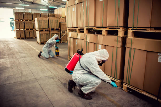 Best Emergency Pest Control  in Camden, SC