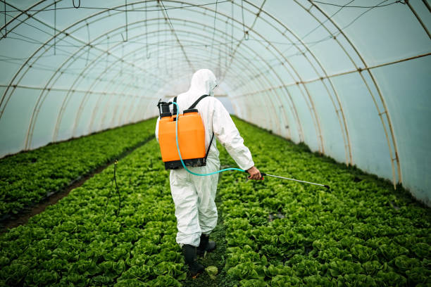 Best Pest Prevention Services  in Camden, SC