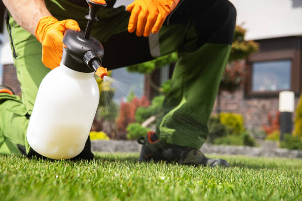 Reliable Camden, SC Pest Control Solutions