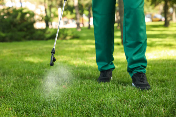 Best Pest Control Treatment  in Camden, SC