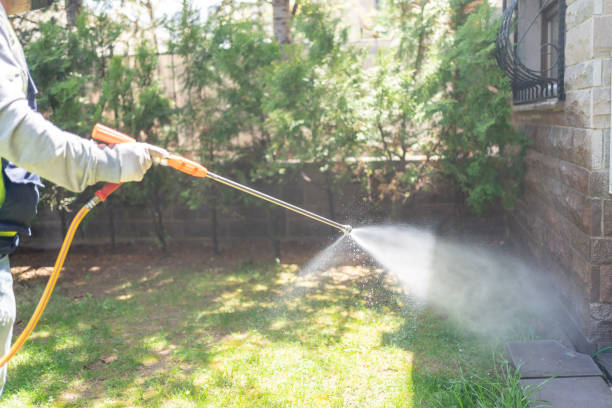 Best Cockroach Control Services  in Camden, SC