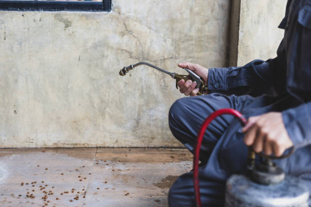 Best Ant Control Services  in Camden, SC