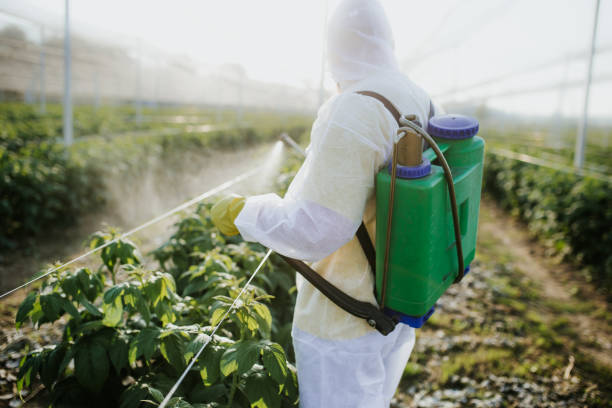  Camden, SC Pest Control Pros